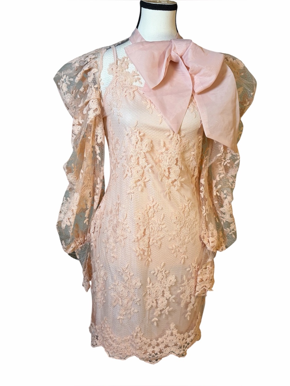 Beulah Pink Floral Mesh Lace Bowtie Shift Midi Dress Juliette Sleeve Size S NWT